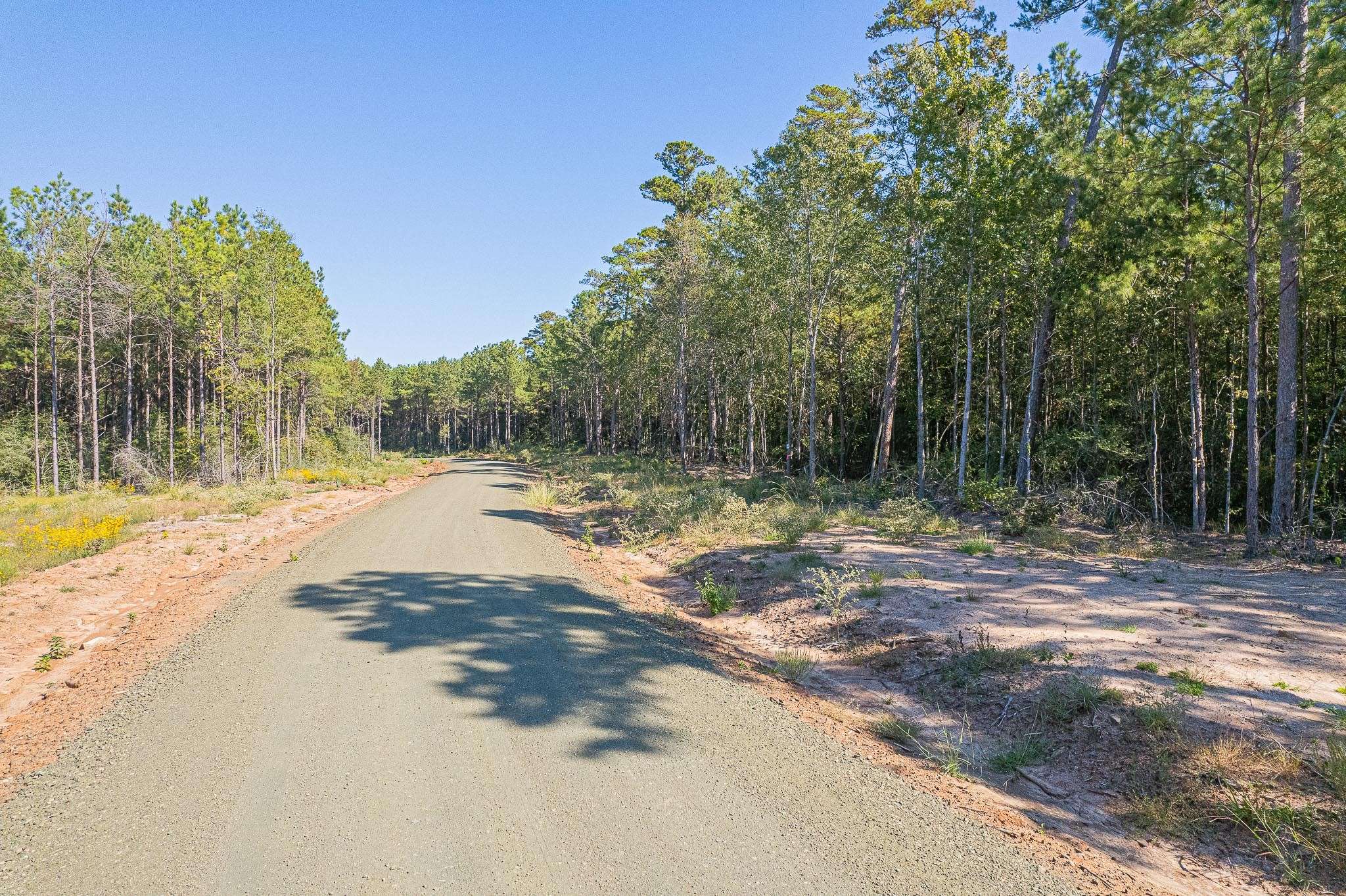 Broaddus, TX 75929,id 25417  Lot 54 FM 705