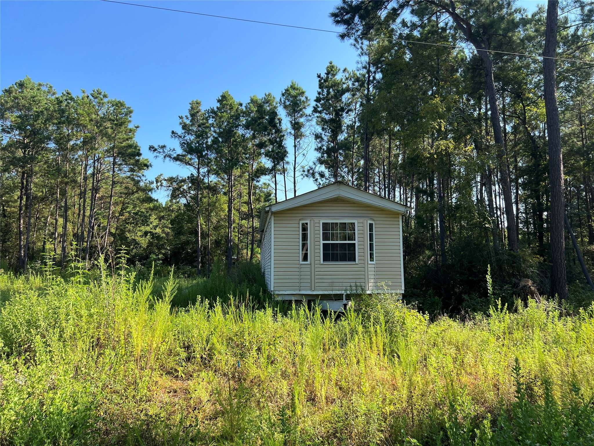 Plantersville, TX 77363,7913 Hawthorne LN