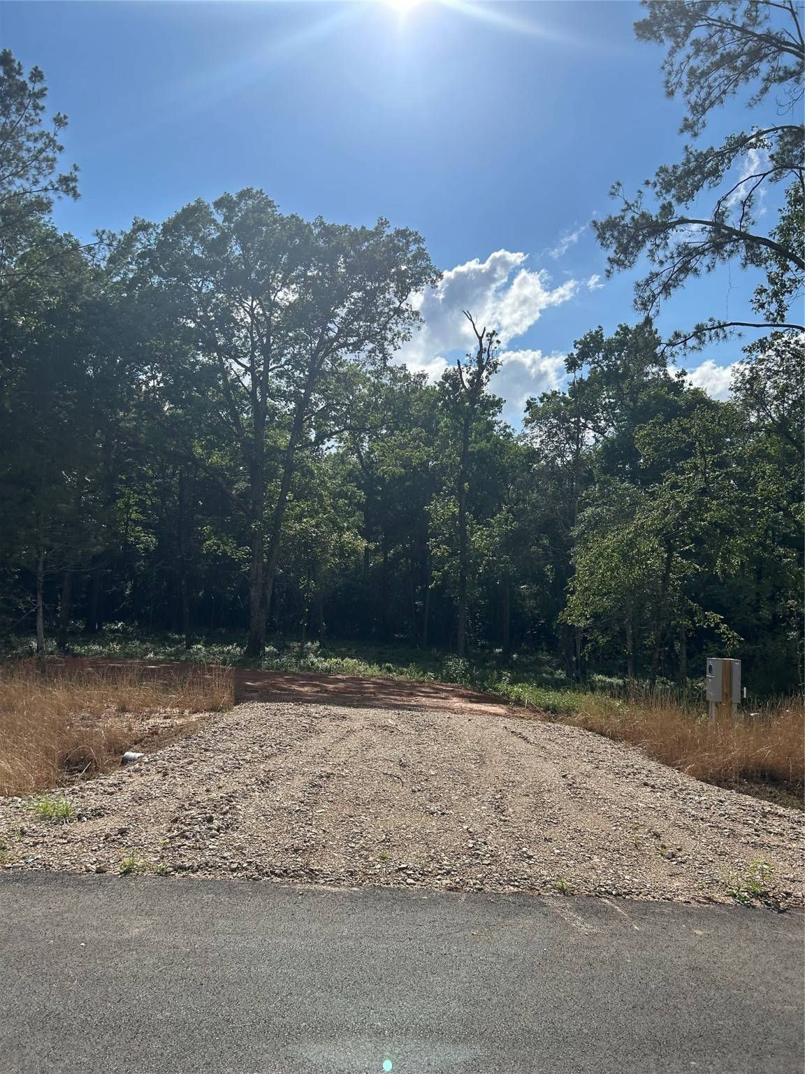 Willis, TX 77378,11351 Annie Creek Drive