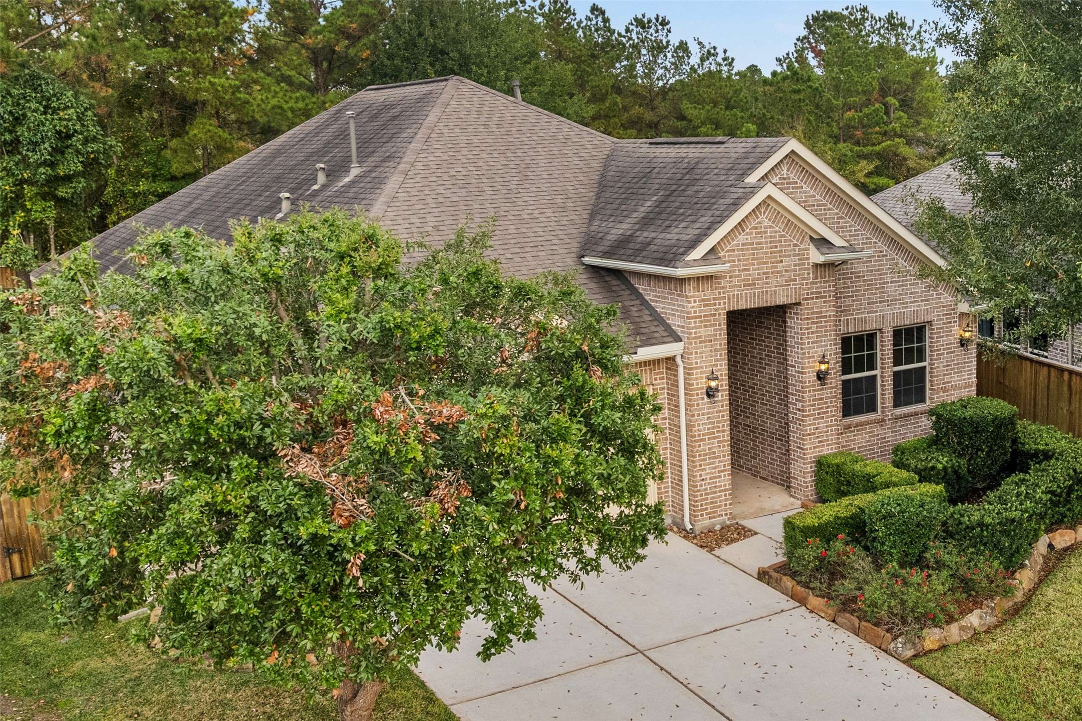 Montgomery, TX 77316,120 Crinium Lily CT