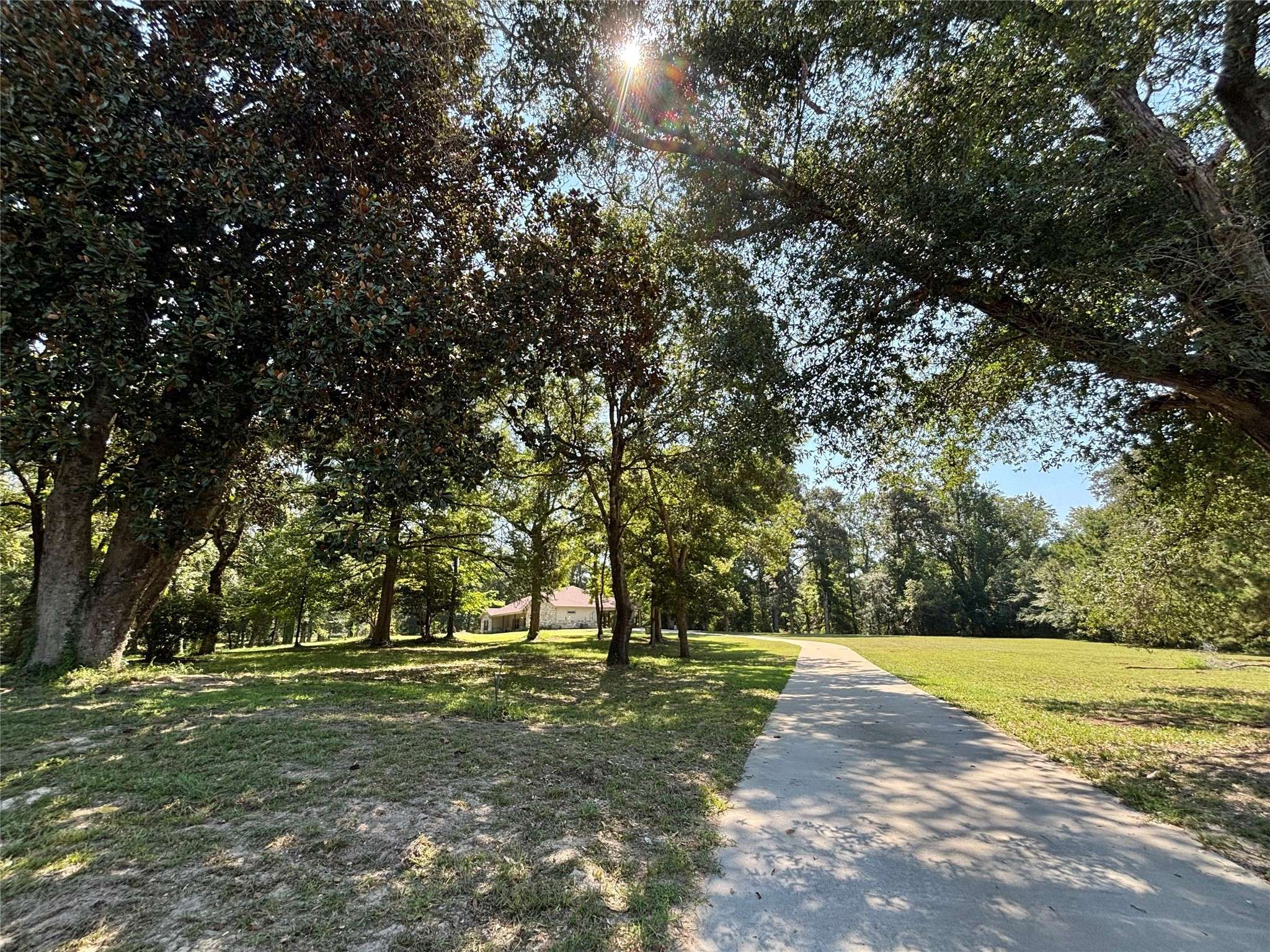 Colmesneil, TX 75938,5484 Fm 256 W