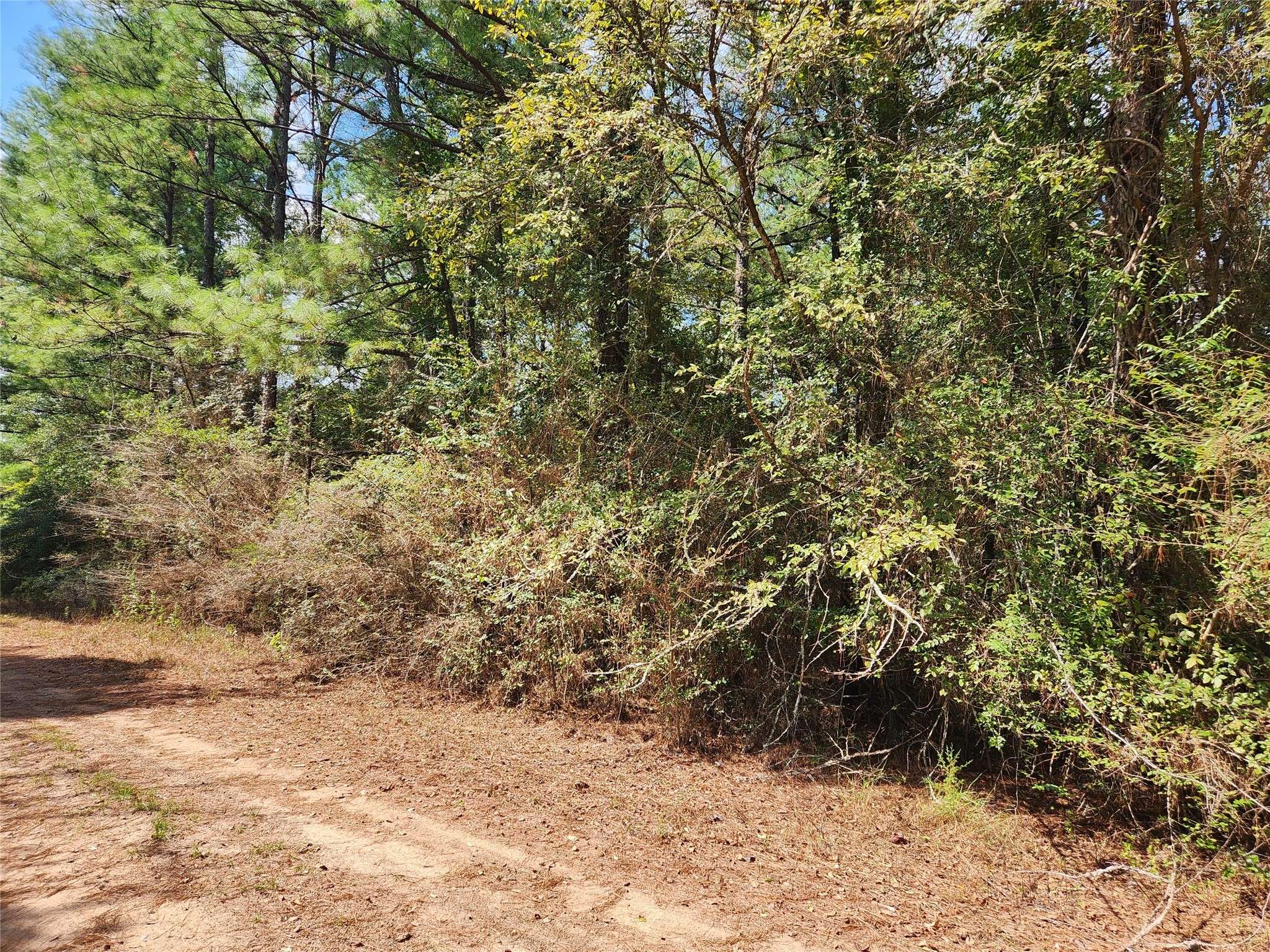 Hempstead, TX 77445,Lot 26 & 27 Eagle DR