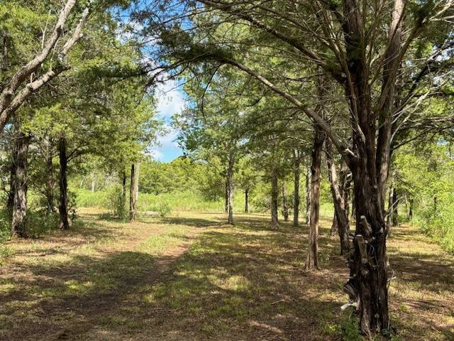Hitchcock, TX 77563,TBD Neville ST