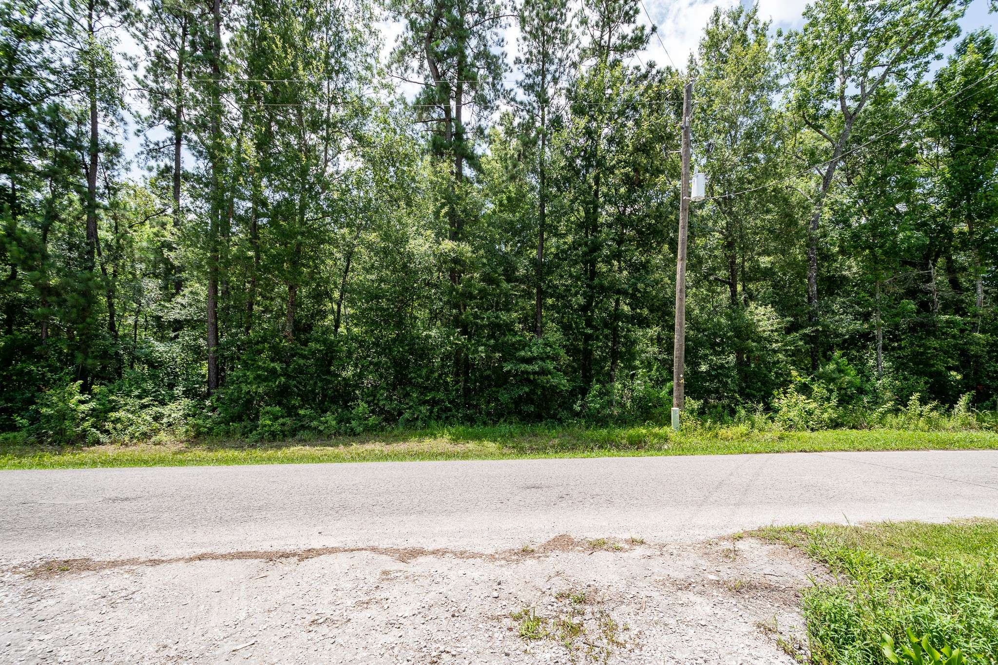 Splendora, TX 77372,000 Lazy S St
