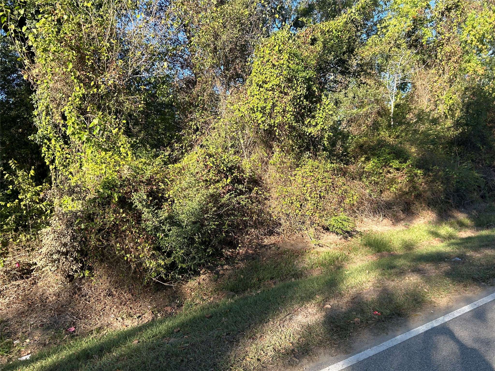 Spring, TX 77373,402 Wells ST