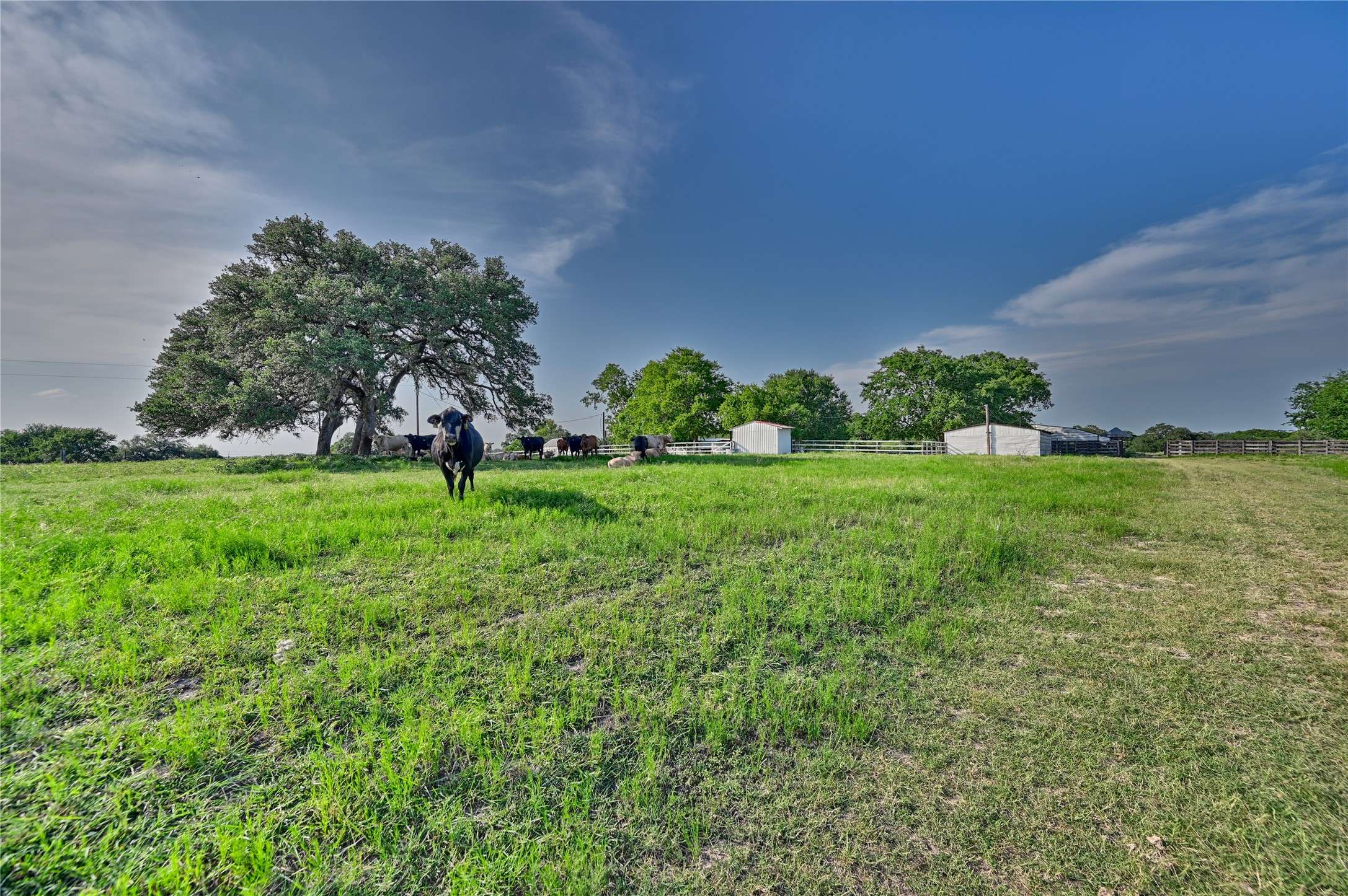 Brenham, TX 77833,600 Artesian Park Ln