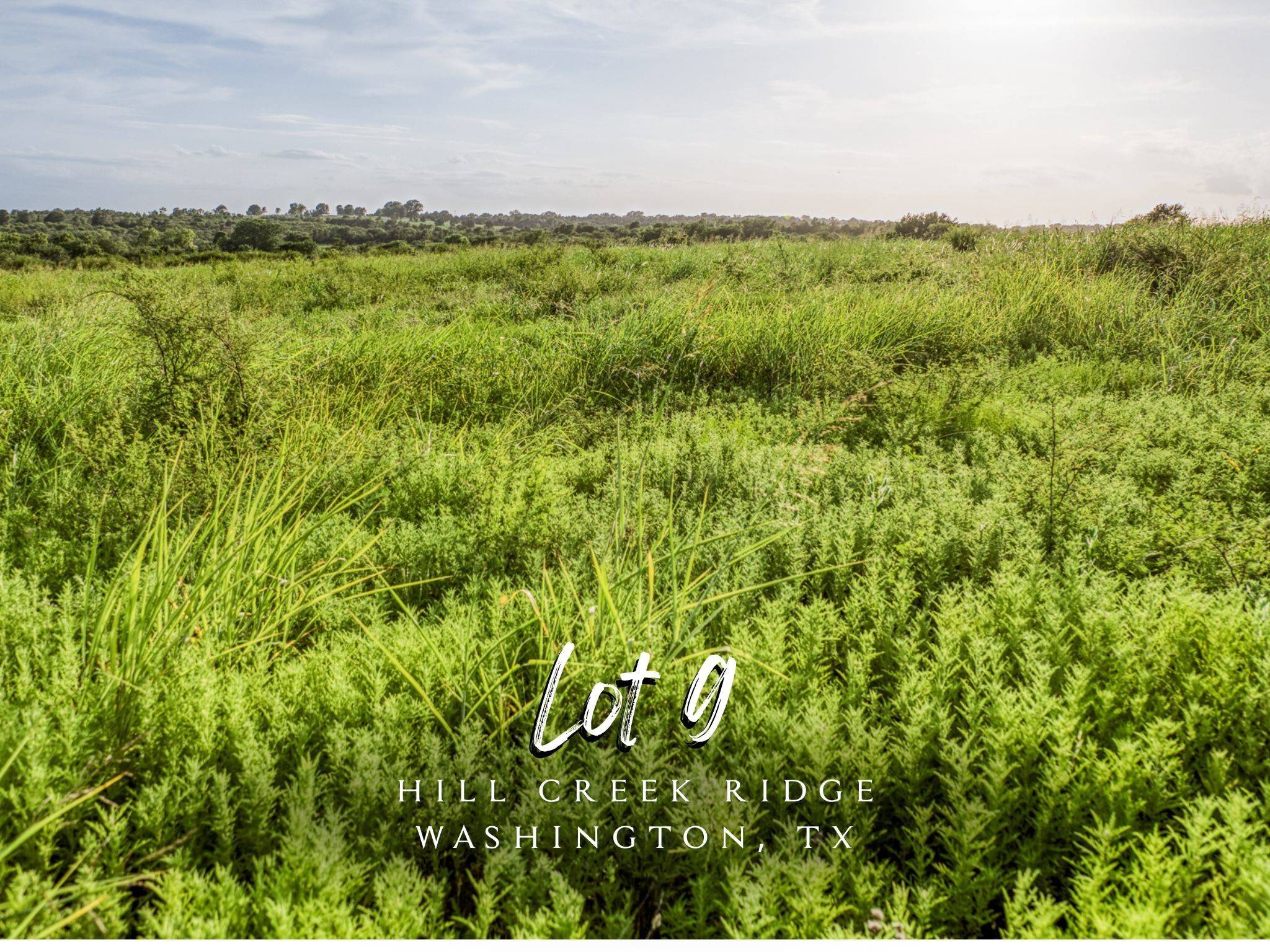 Washington, TX 77880,LOT 9 Hargrove LN