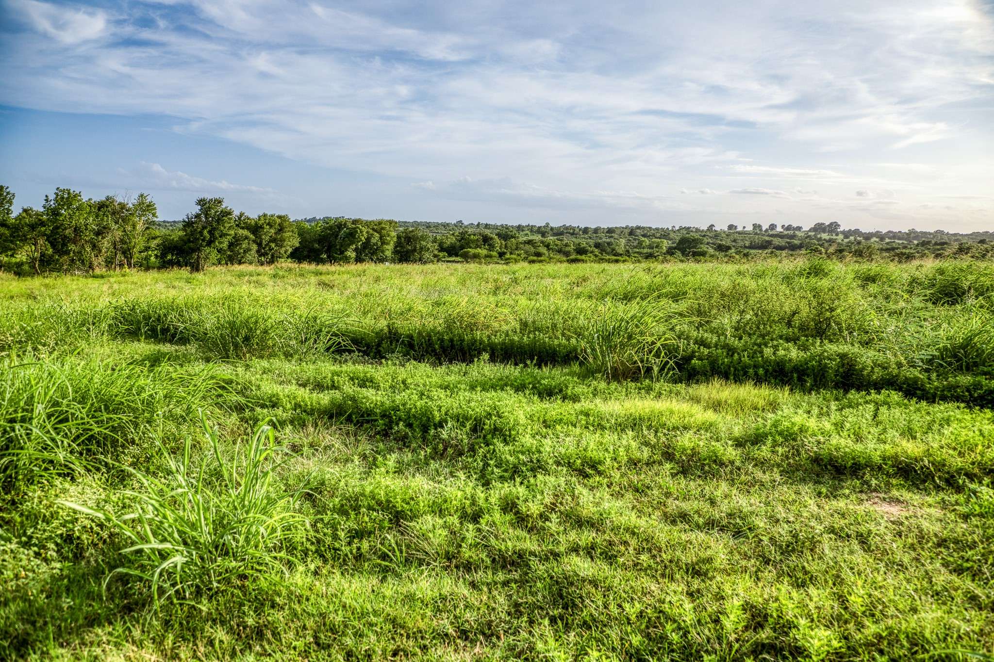 Washington, TX 77880,LOT 9 Hargrove LN