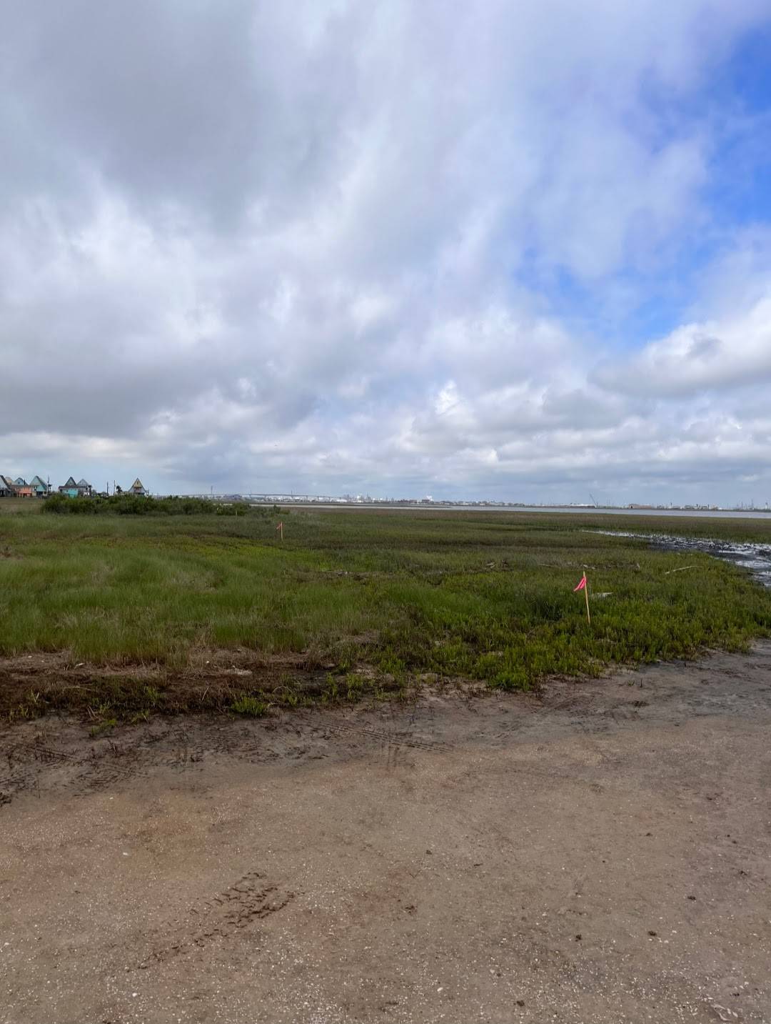 Galveston, TX 77541,0000 Nesmith PL