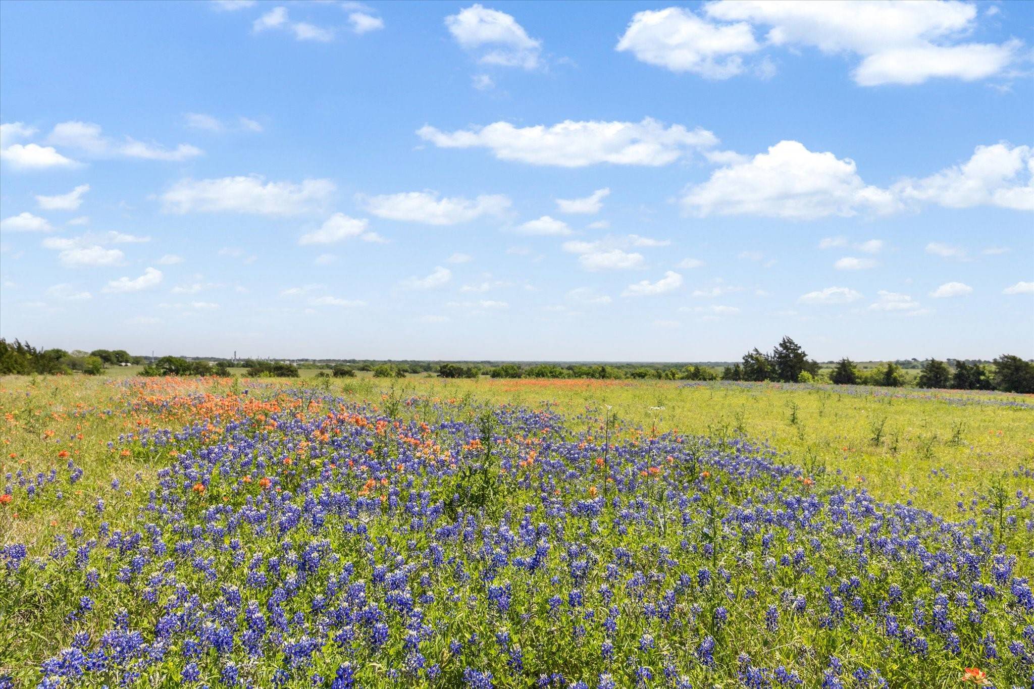 Burton, TX 77835,2220 Boehnemann RD