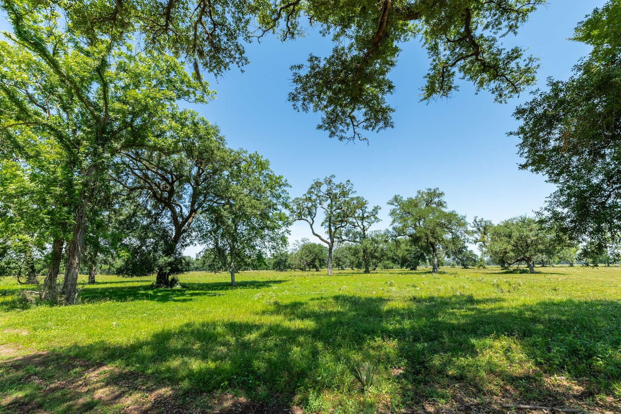 Van Vleck, TX 77482,425 Valley Oaks Drive