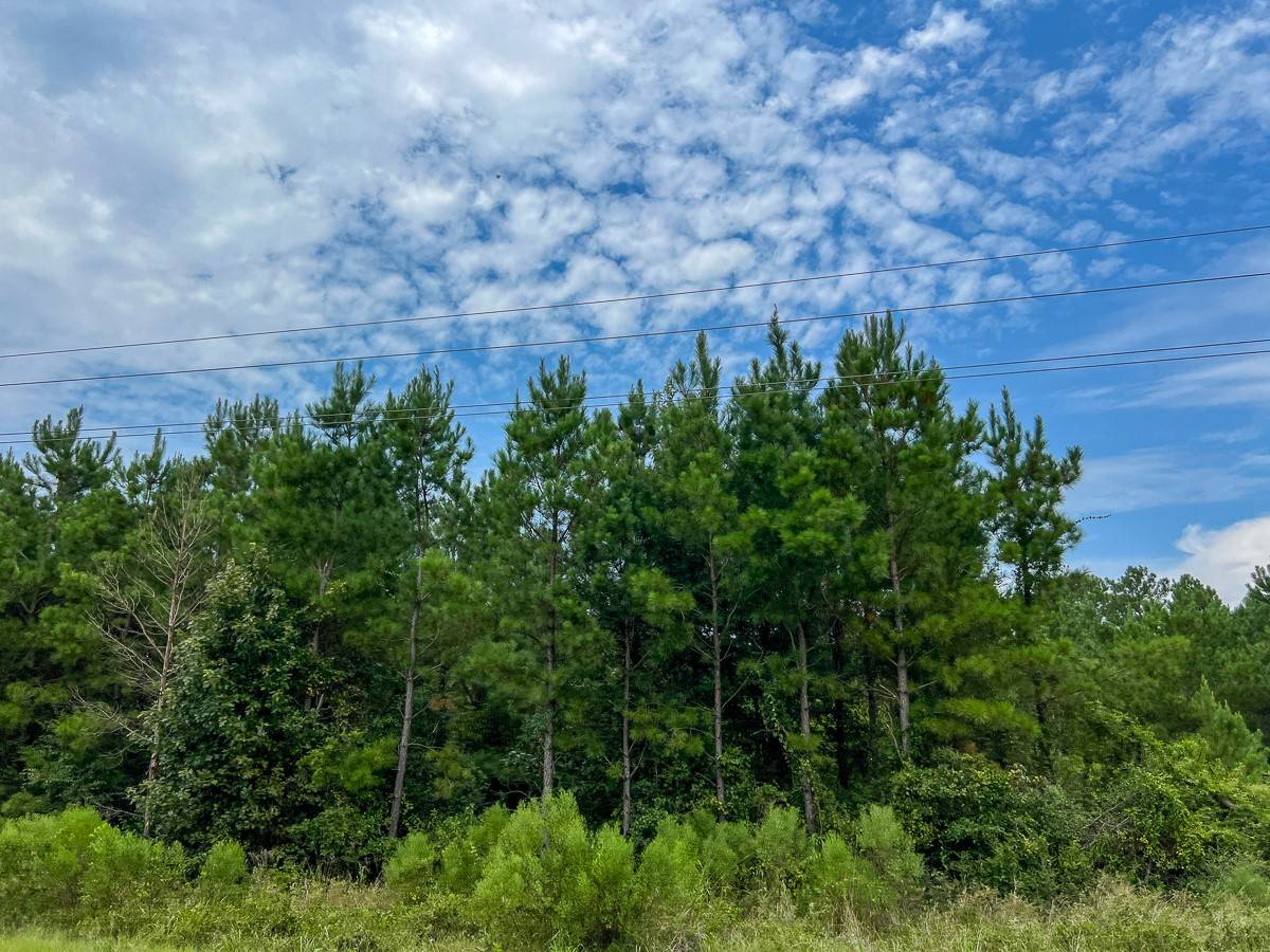 Groveton, TX 75845,30 Meshell RD