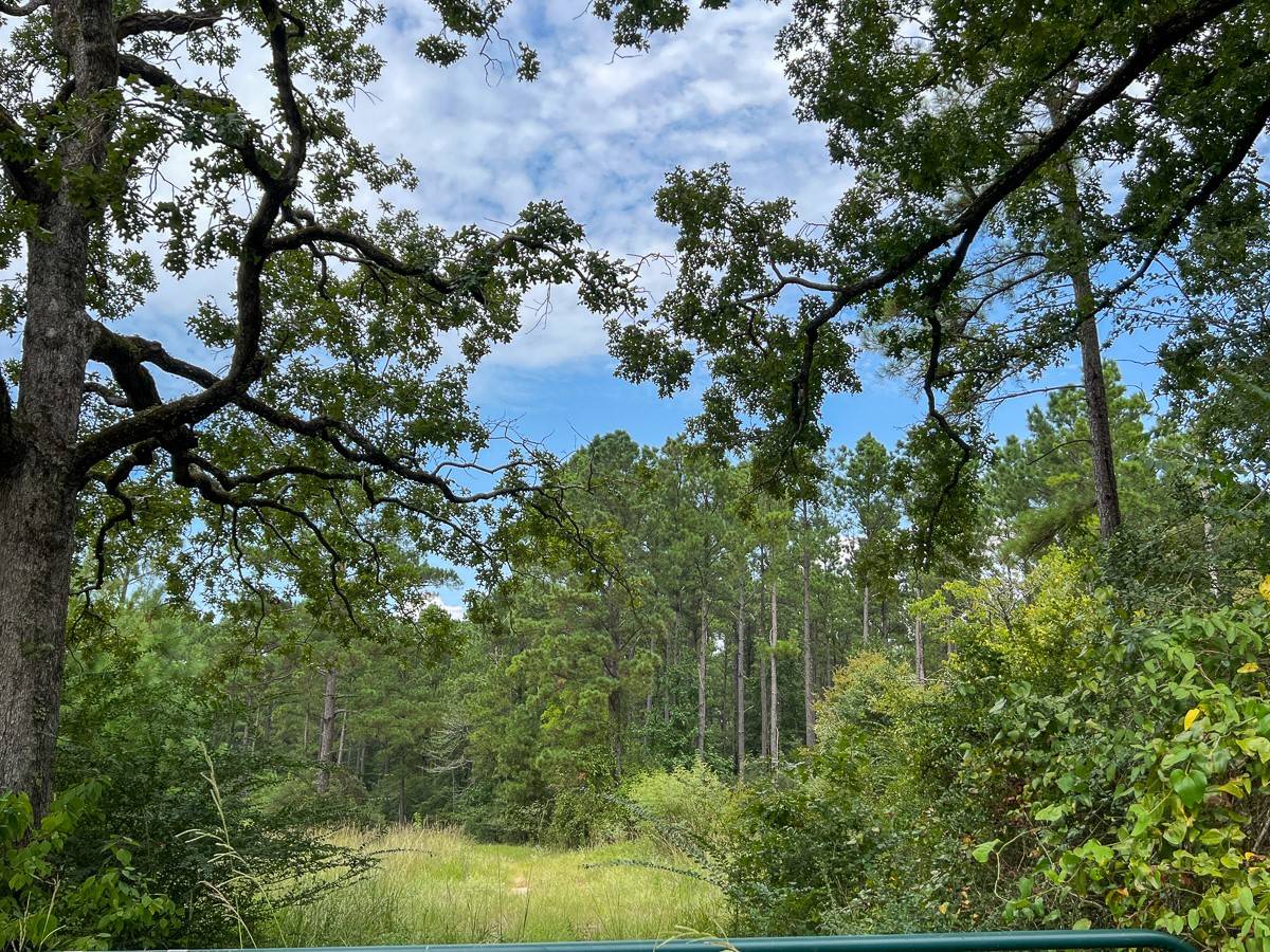 Groveton, TX 75845,30 Meshell RD