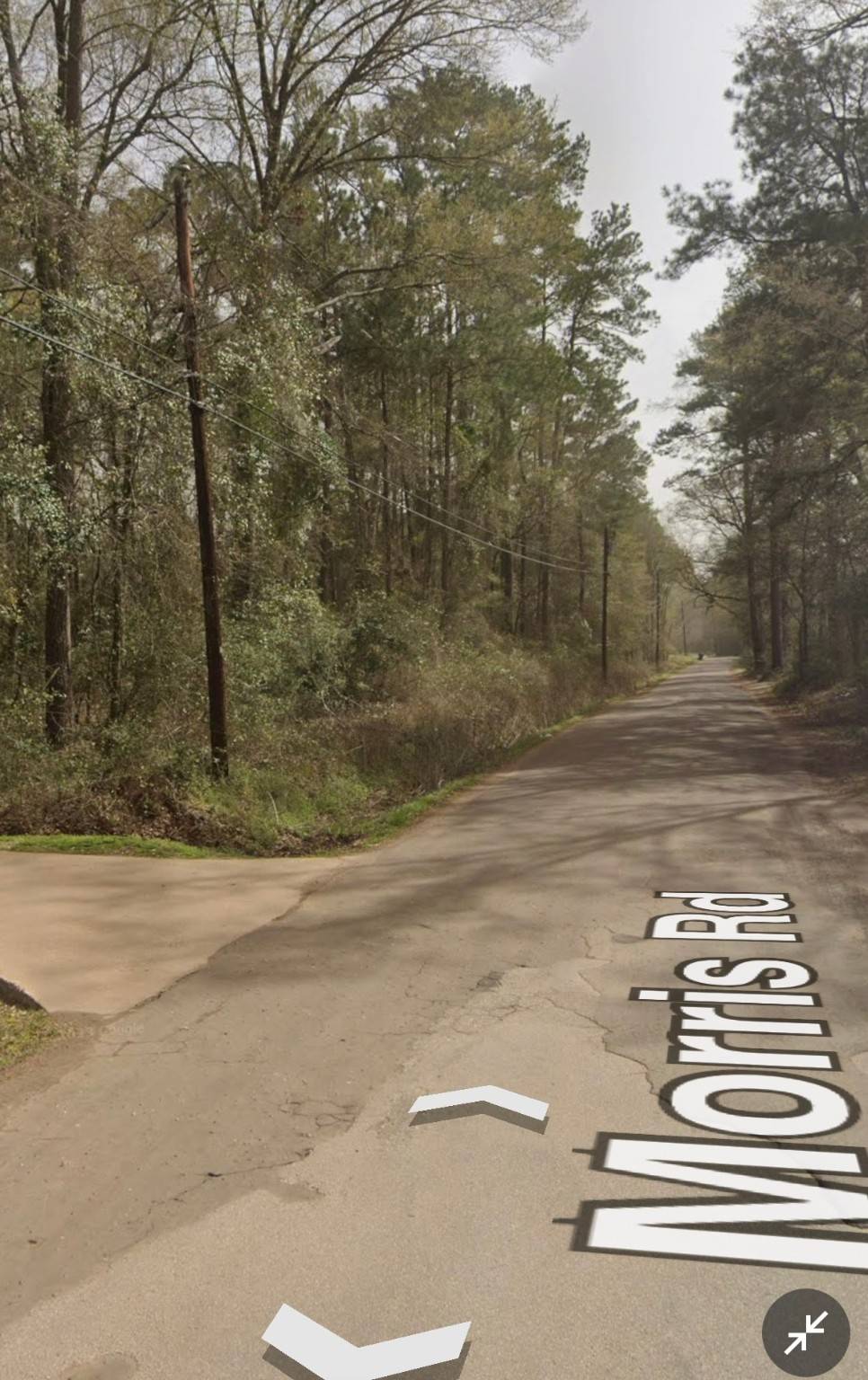 Diboll, TX 75941,TBD Morris Rd