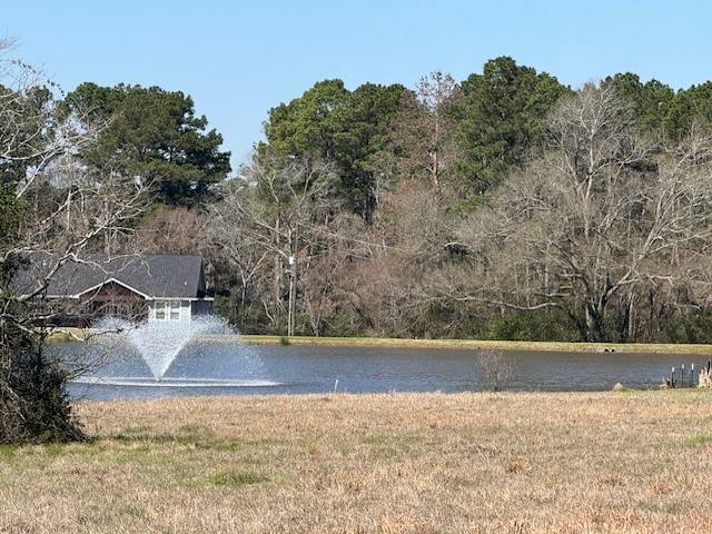 Trinity, TX 75862,TBD14 High Meadow