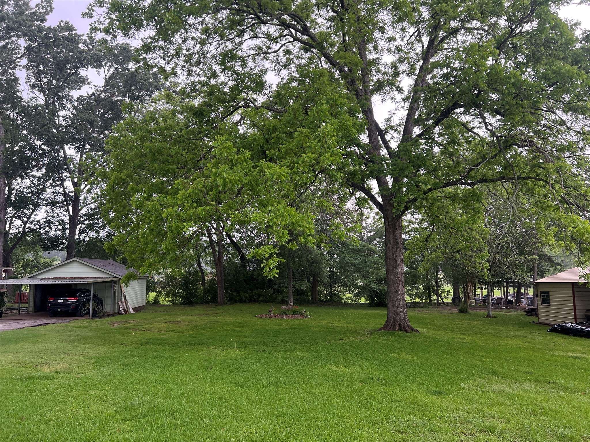 Coldspring, TX 77331,TBD Cove LOOP