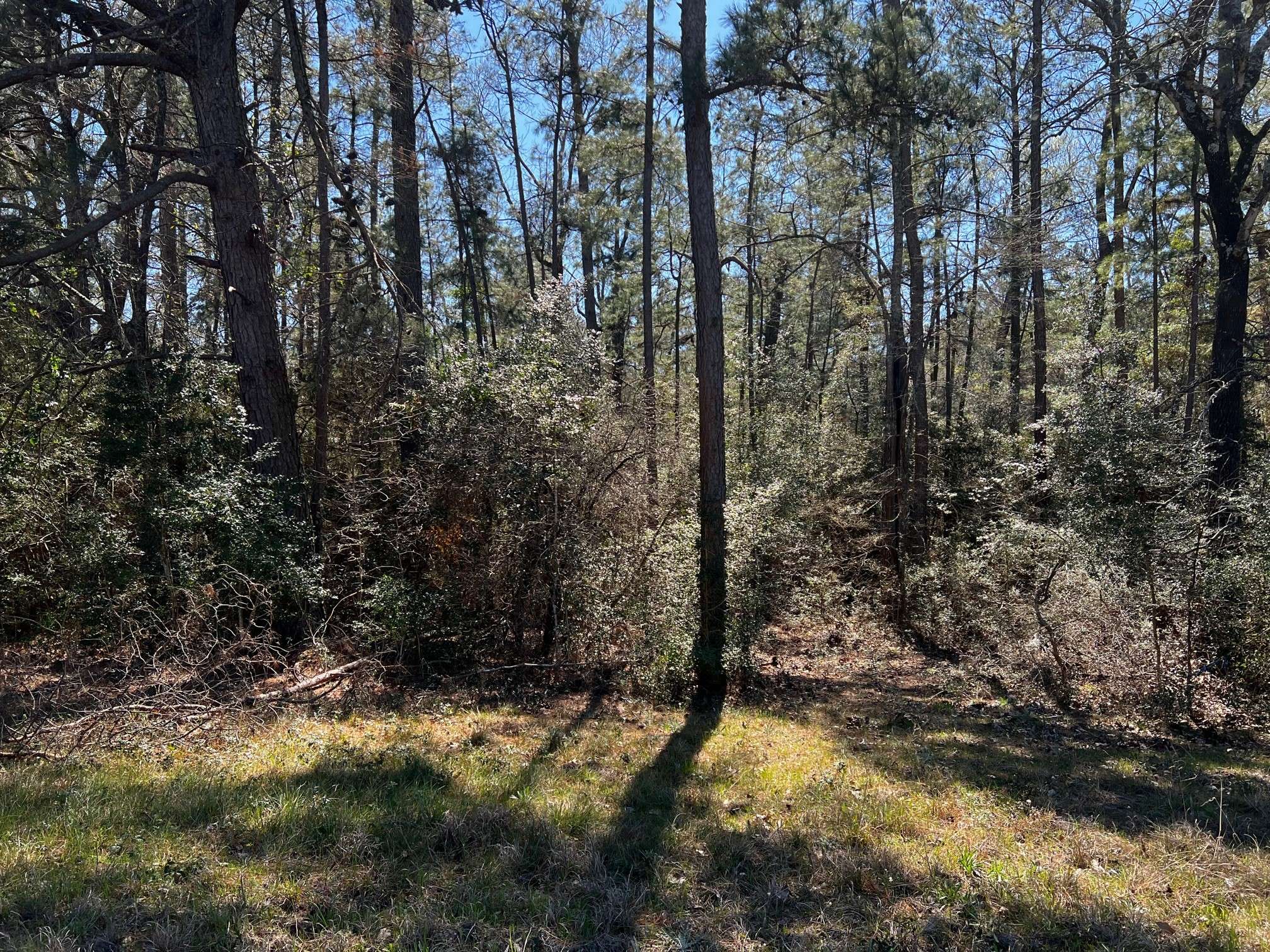 Huntsville, TX 77320,2404 TX-75 RD