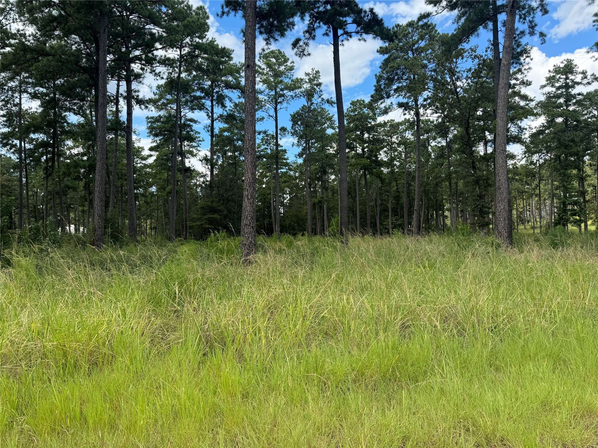 Brookeland, TX 75931,027 Private Road 6028