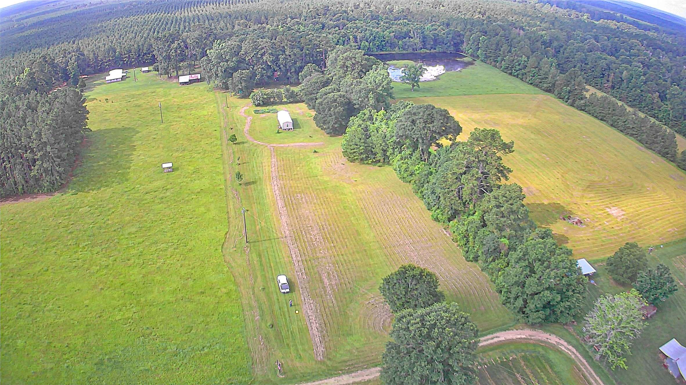 Livingston, TX 77351,868 Hooks RD