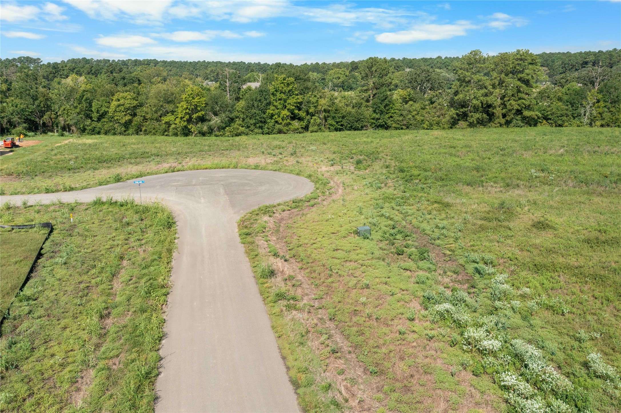 Plantersville, TX 77363,9606 Cedar Lake CT