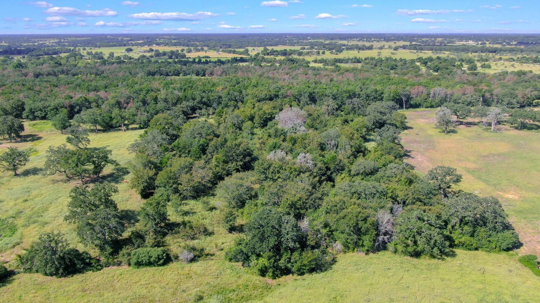 Caldwell, TX 77836,TBD CR 227