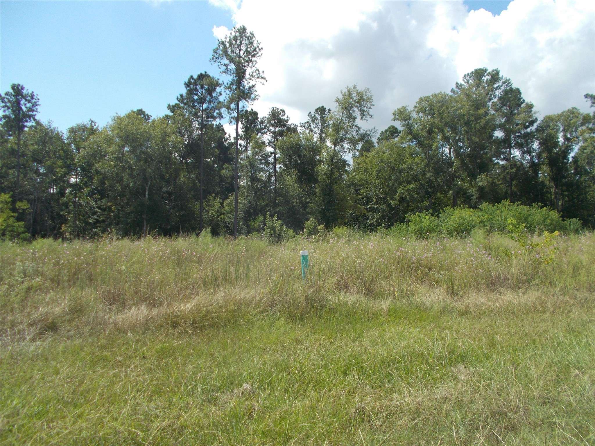 Cleveland, TX 77327,1428 Road 5824