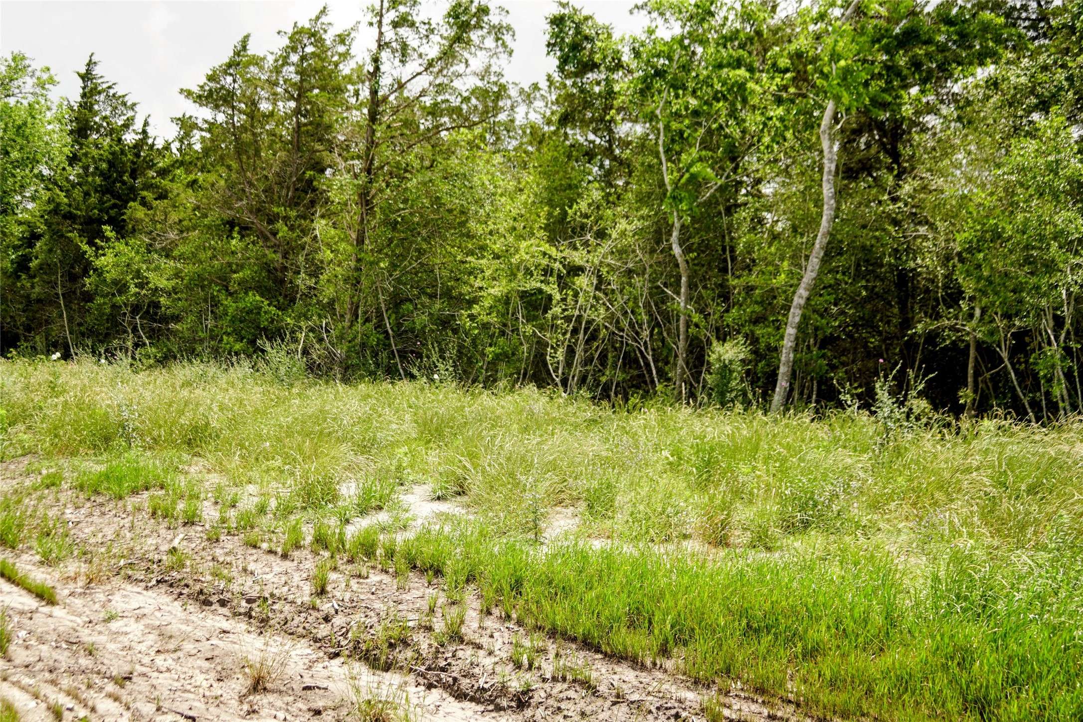 Carmine, TX 78932,441 Vineyard View Trail