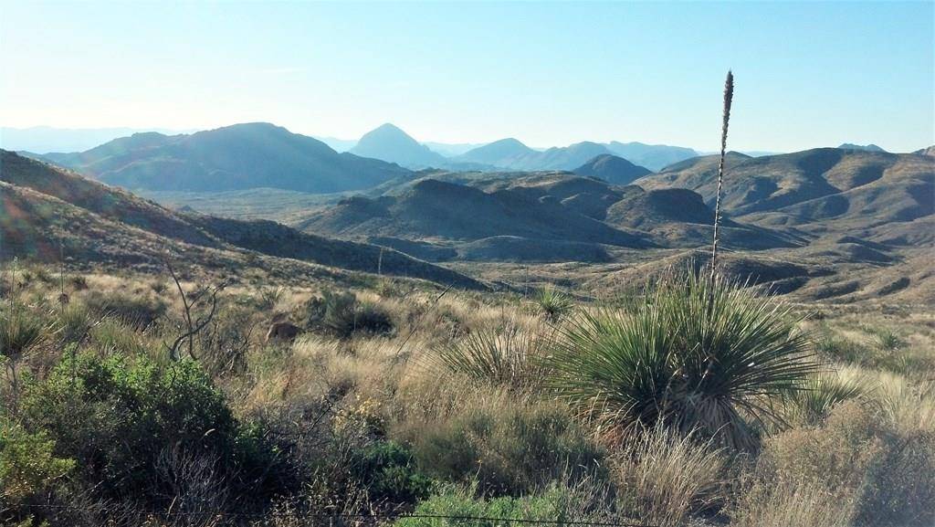 Terlingua, TX 79852,6363 Cedar Springs Road