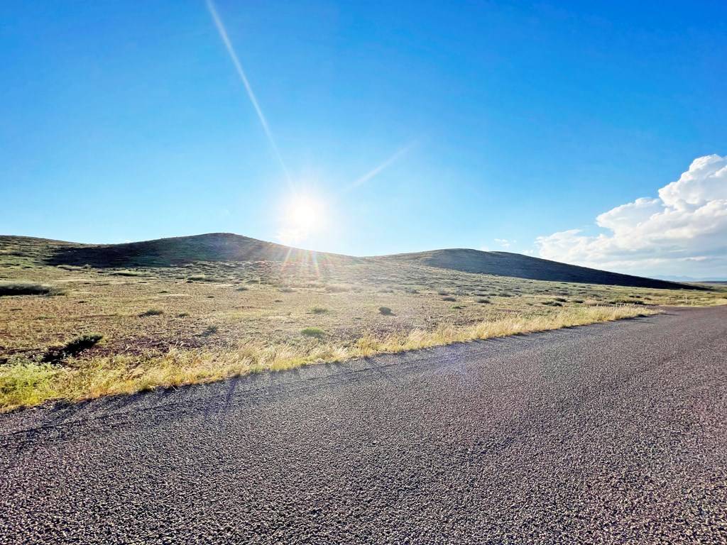 Alpine, TX 79830,16 Other