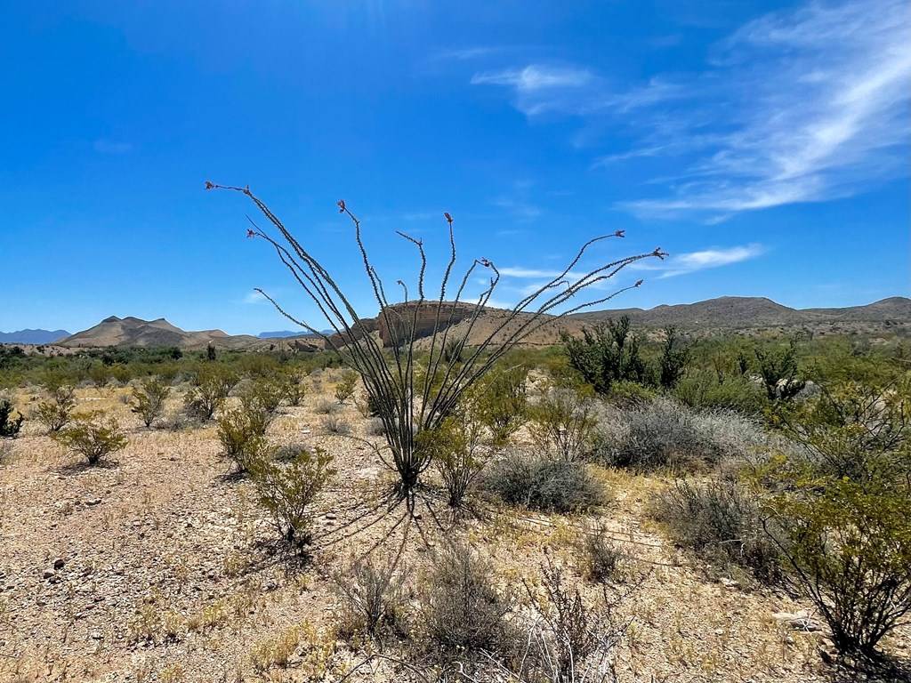 Terlingua, TX 79852,TR 2535 Private Rd