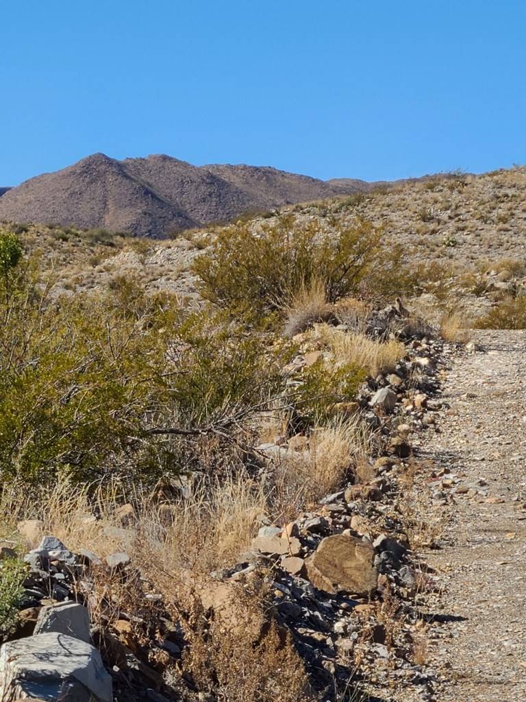 Terlingua, TX 79852,6013 Bobcat Drive