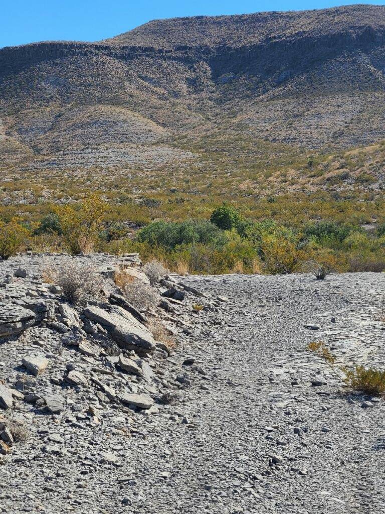 Terlingua, TX 79852,6013 Bobcat Drive