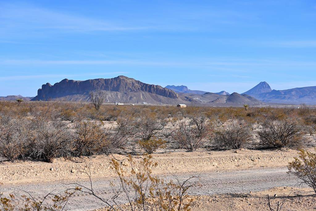 Terlingua, TX 79852,G367 Martinez Rd.