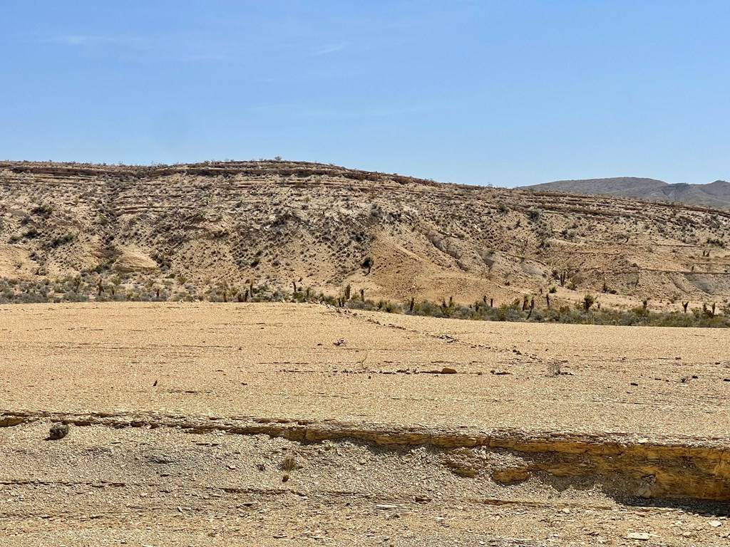 Terlingua, TX 79852,F 709 Wallace