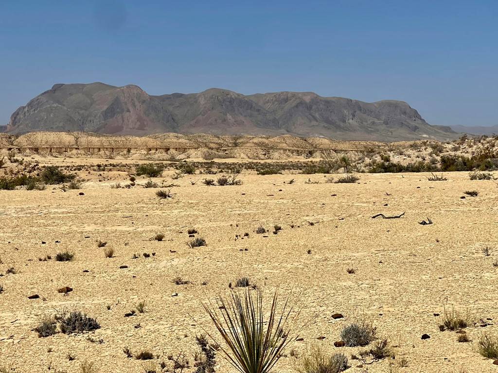 Terlingua, TX 79852,F 713 Wallace