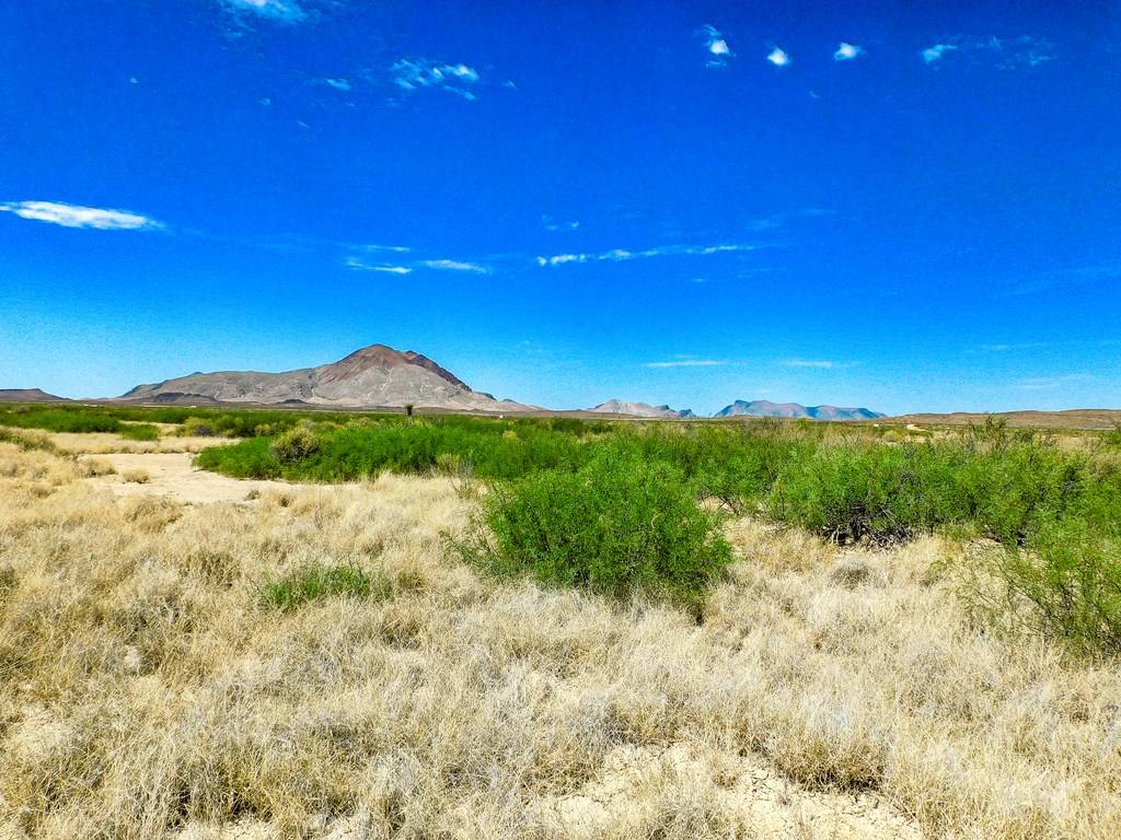 Terlingua, TX 79852,17070 Ruby Dr