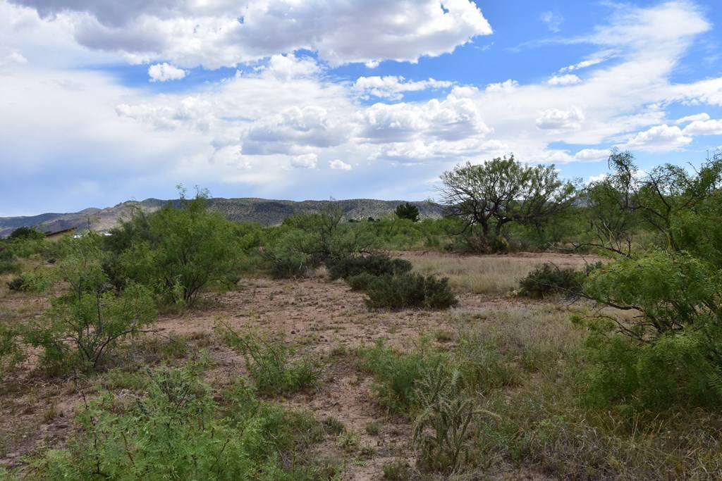 Alpine, TX 79830,411 Sagebrush Road