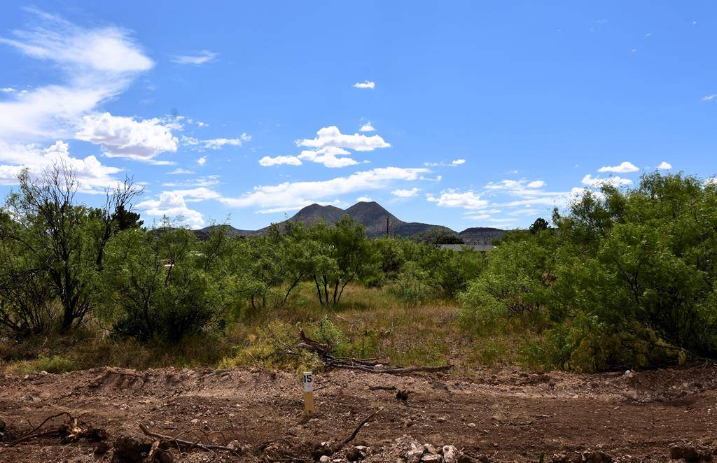Alpine, TX 79830,411 Sagebrush Road