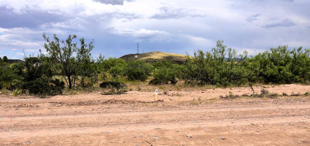 Alpine, TX 79830,406 Sagebrush Road