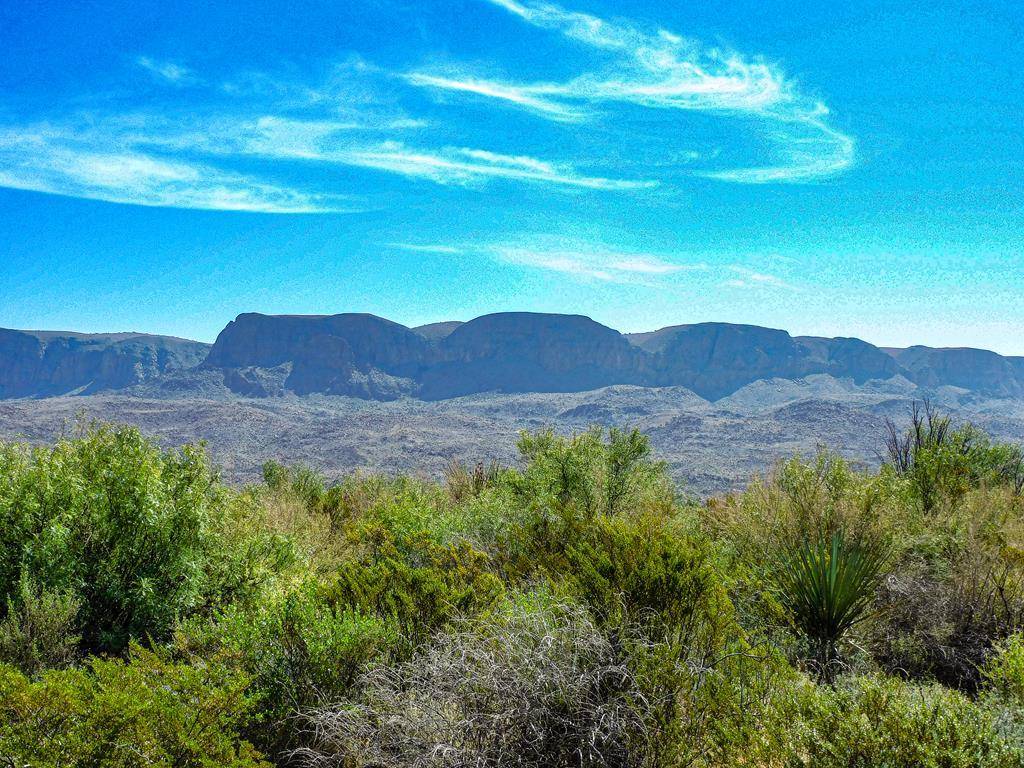 Terlingua, TX 79852,91 Black Hill Rd