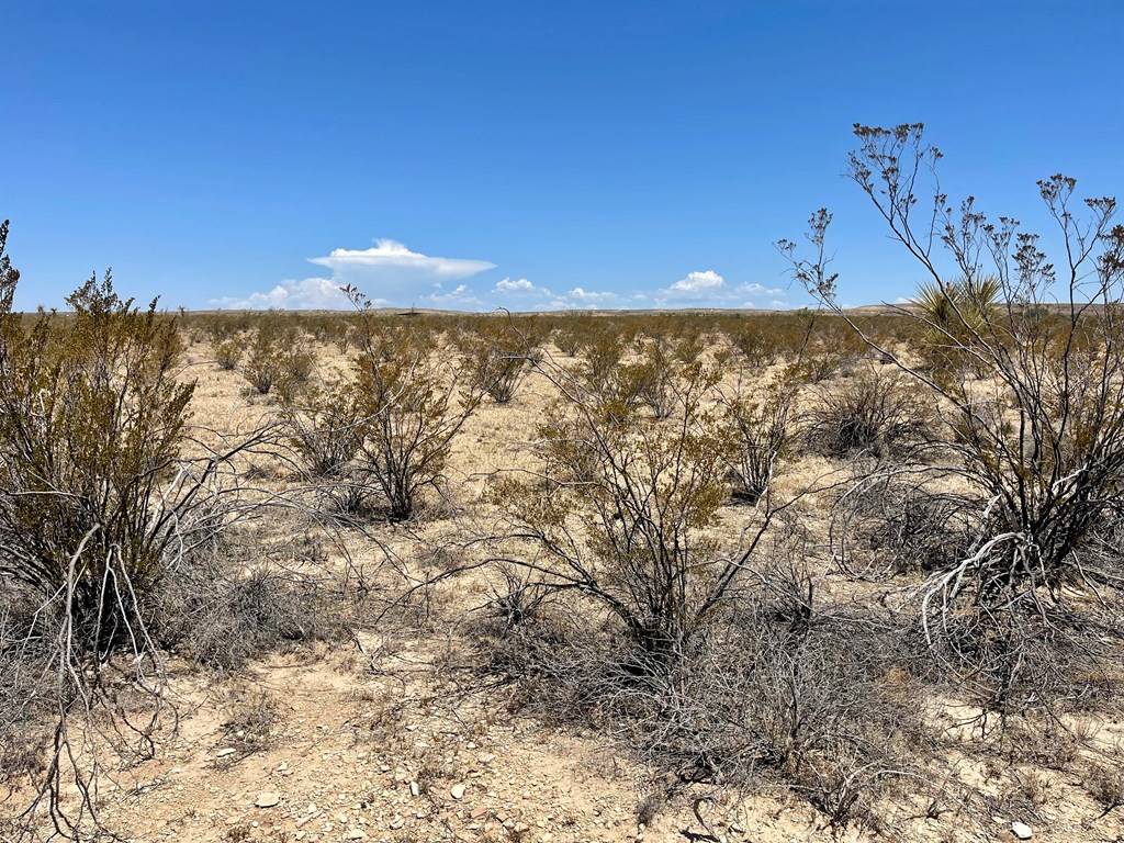 Terlingua, TX 79852,G563 Dean St