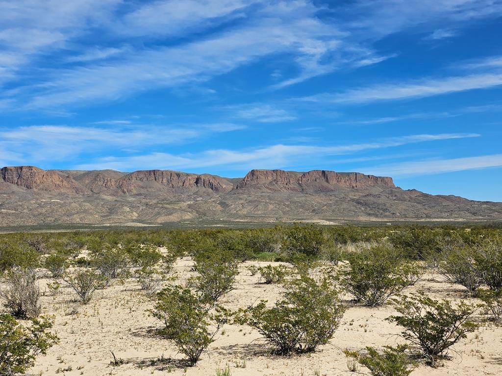 Terlingua, TX 79852,4775 BCD Creosote Pass