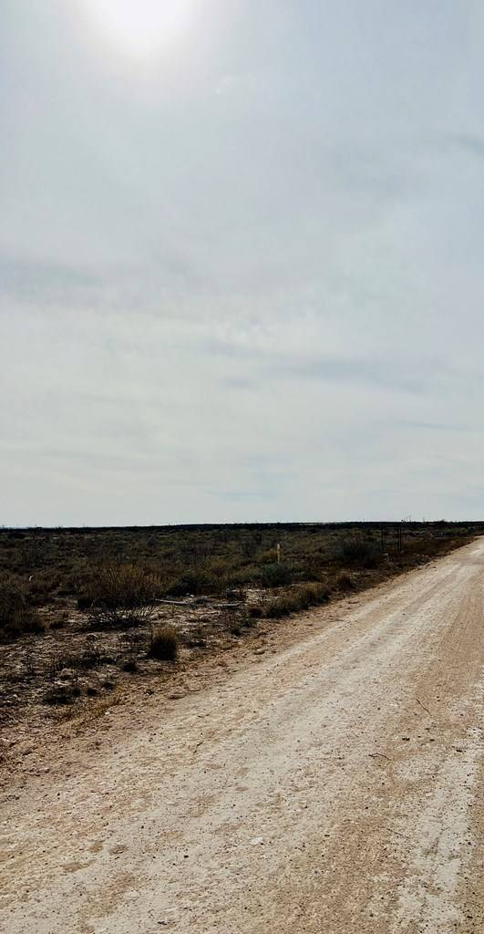 Grandfalls, TX 79742,TBD CR 389