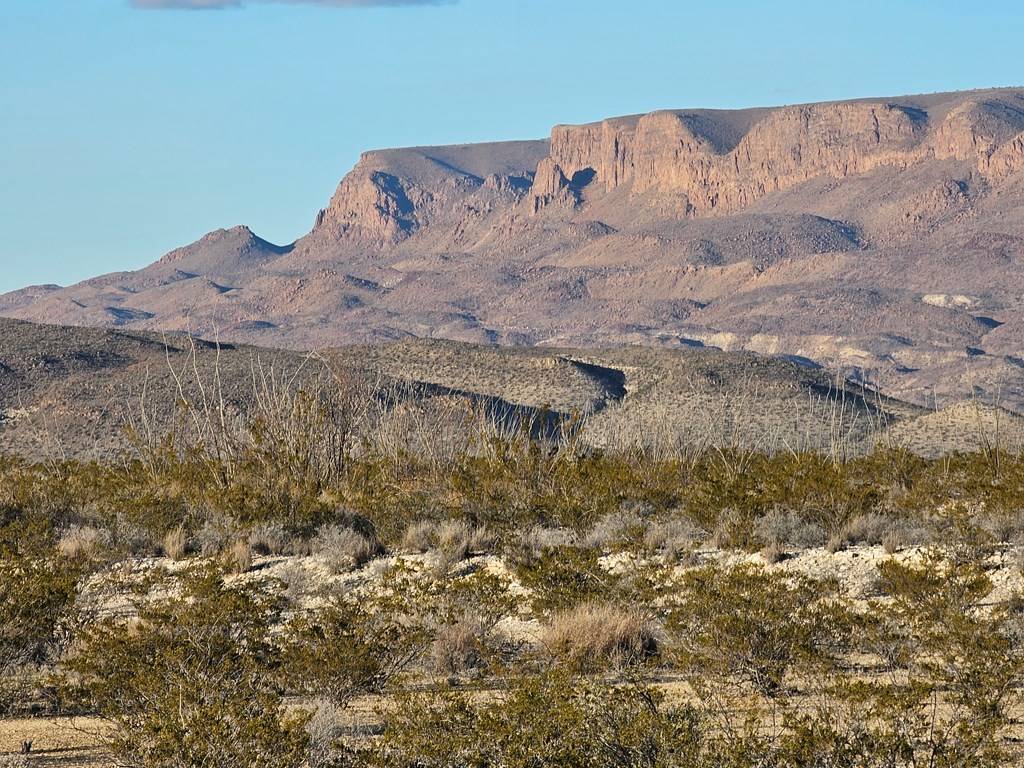 Terlingua, TX 79852,NC 863 War Zone Rd