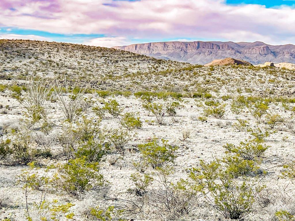 Terlingua, TX 79852,19800 Reimers Road