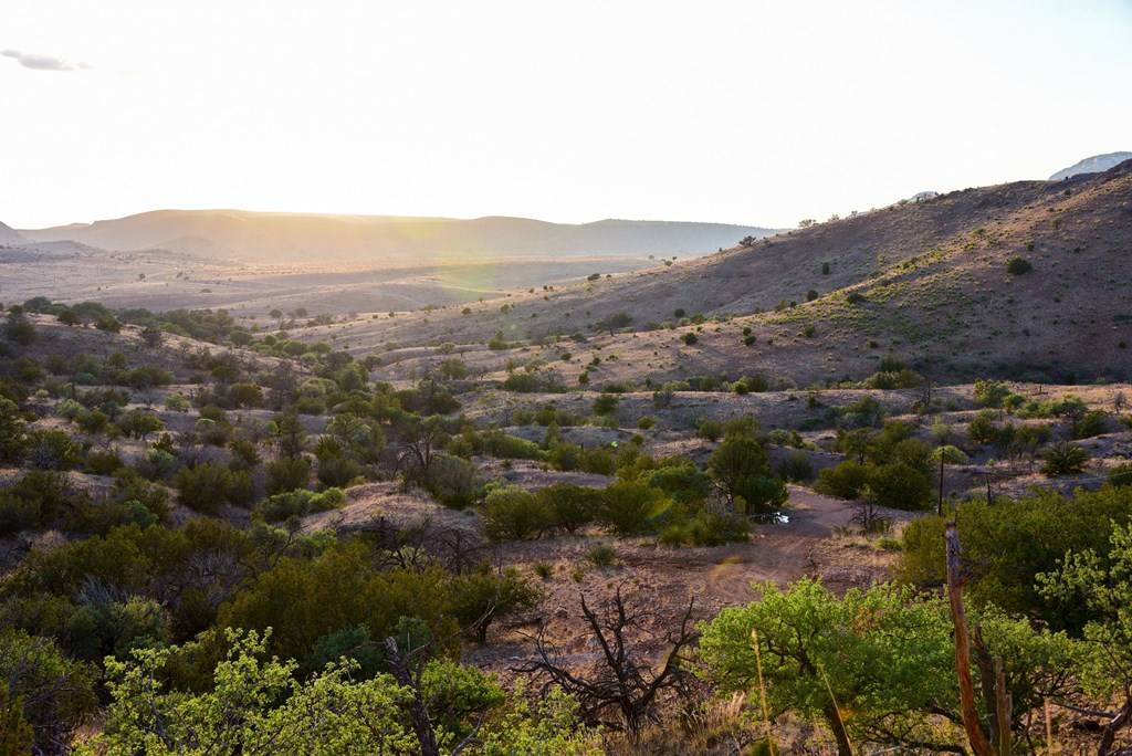 Fort Davis, TX 79734,215 Warbonnet Road