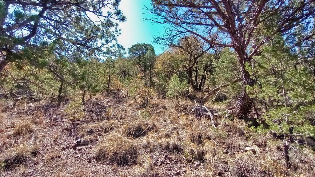 Fort Davis, TX 79734,217 Squaw Valley Trail