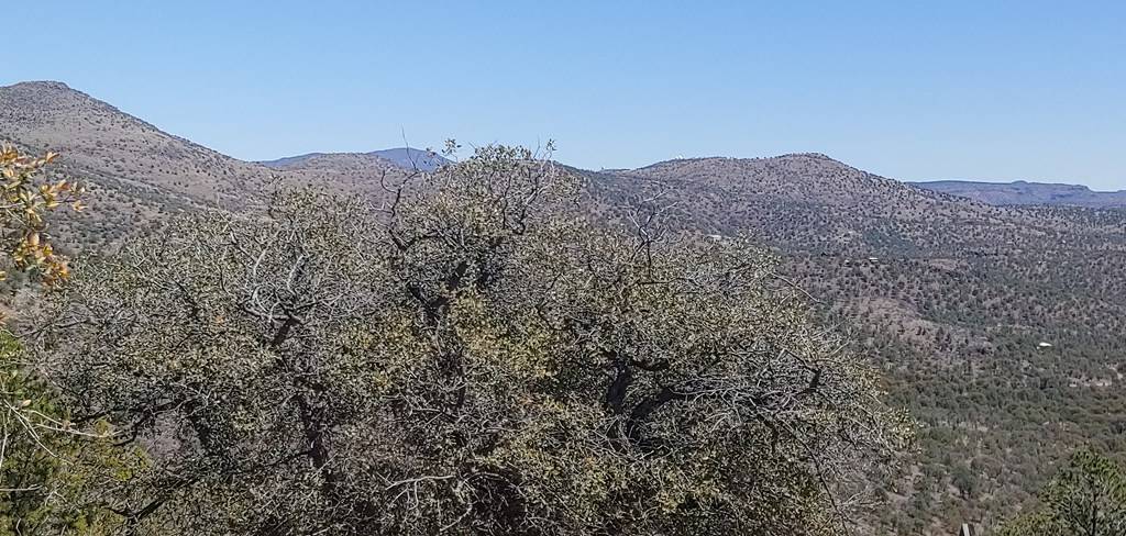 Fort Davis, TX 79734,114 High Meadow Trail