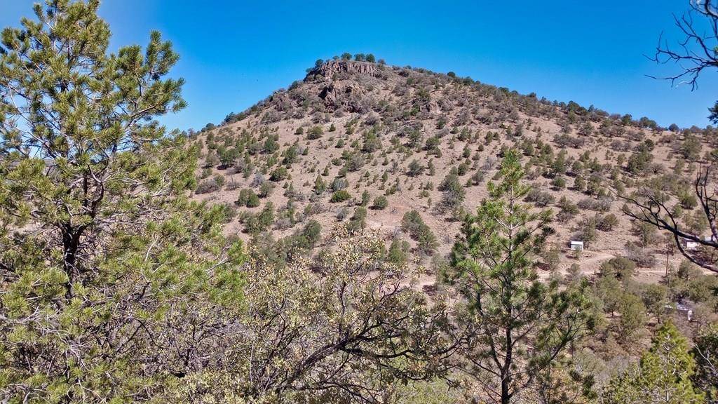 Fort Davis, TX 79734,215 Squaw Valley Trail