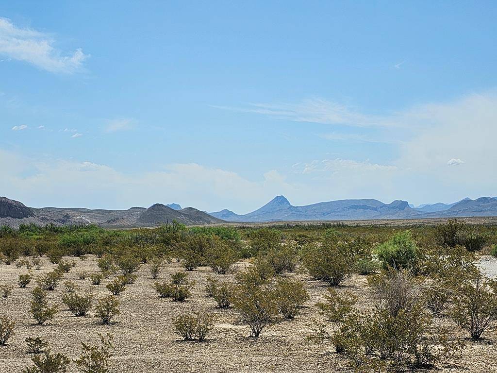 Terlingua, TX 79852,1751 Tennyson Desert Trail